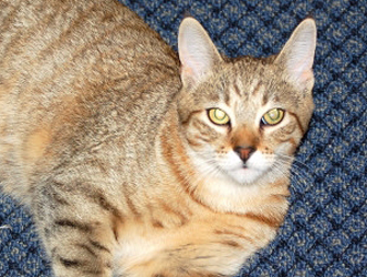 A more Recent photo of Cagney